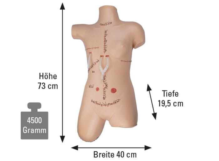 Weibliches chirurgisches Naht- und Verbands-Modell